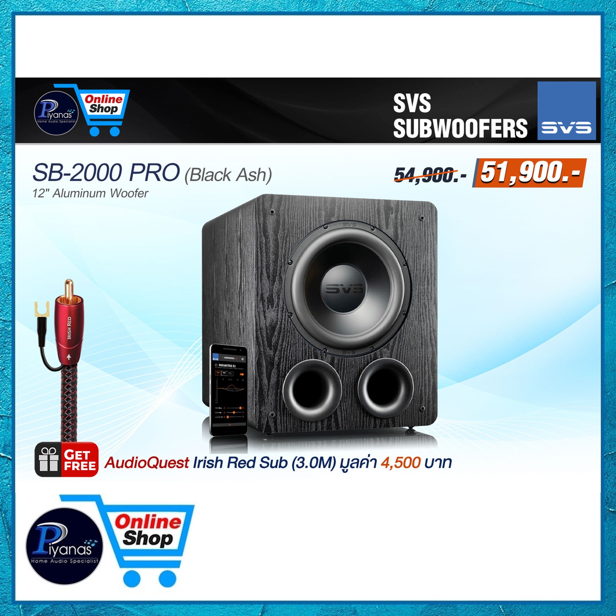 ซับวูฟเฟอร์ SVS : PB-2000 PRO (BLACK ASH)_5